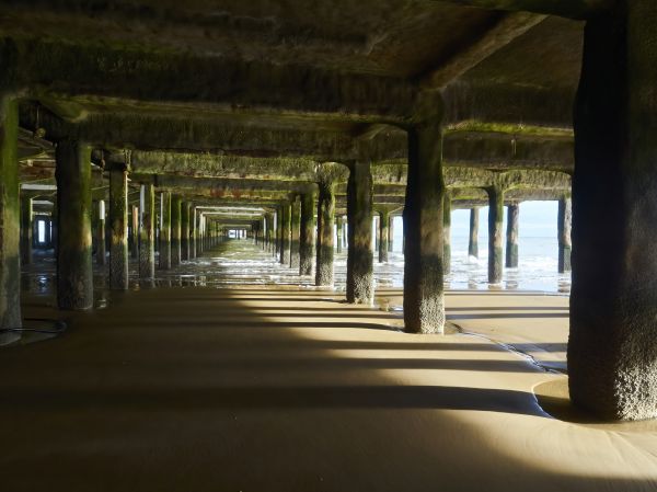 Concrete Pier Repair in Apopka